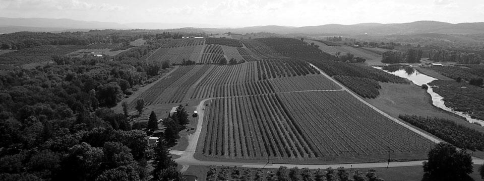 Agritourism in the Annapolis Valley photo 2