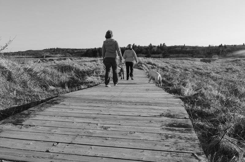 Enjoy Crystal Crescent Beach in Nouvelle Cosse, Nova Scotia image 2