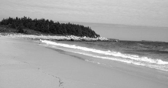 The Crystal Crescent Beach in Nouvelle-Cosse photo 0